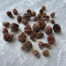 �����ɹ������������������ �}�Q���}�Q��DIY�b�Ʒ���ɰع�ϵ��