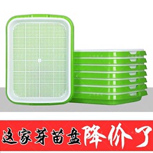 ѿ��˷Nֲ�P ���ßo�����������豣���w����ѿ�������P���l