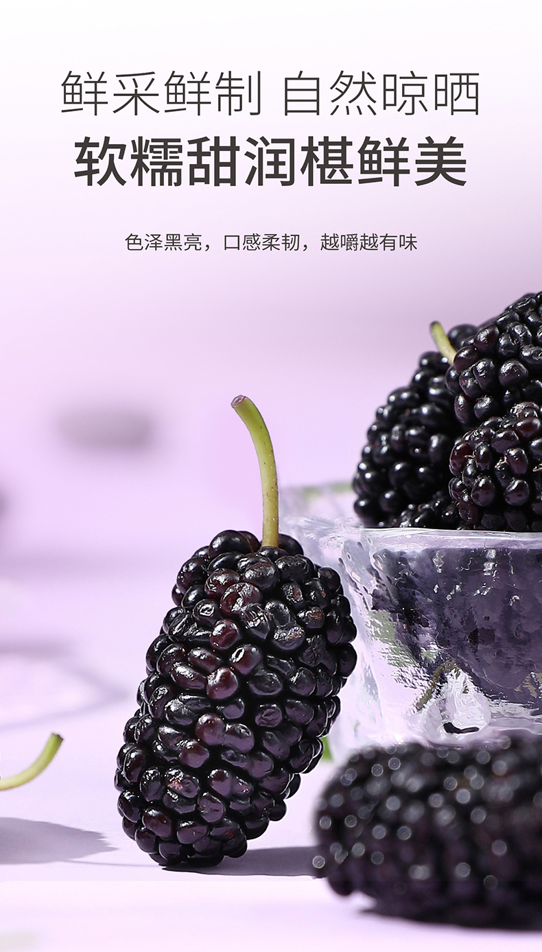 Organic Dried Mulberry Fruit 510g Round Jar Panzhihua Sang Shen Dried Mulberries for Tea and Wine quality and texture