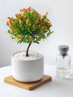 С�~����Ϙ���̴�辰ī�����F�������~��ֲ��͏d�҃��k���Һ��B