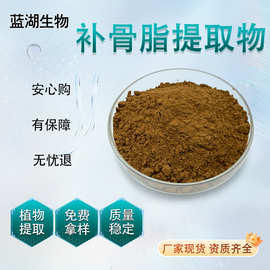 补骨脂提取物 补骨脂粉 浓缩 厂家现货包邮