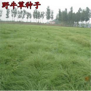 Ұţ�ݷN���o�¹�����ƺ�ݷN�Ѱ����ļ��L���ͺ��ͺ���������