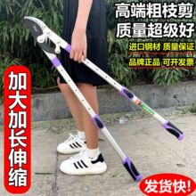 ����֦������ޘ�֦������֦�����޼�@�����Ѳ����s�Uʡ��E18