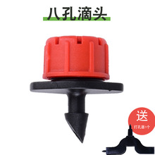 {ˮ^ërùι^O΢^8Сtñ