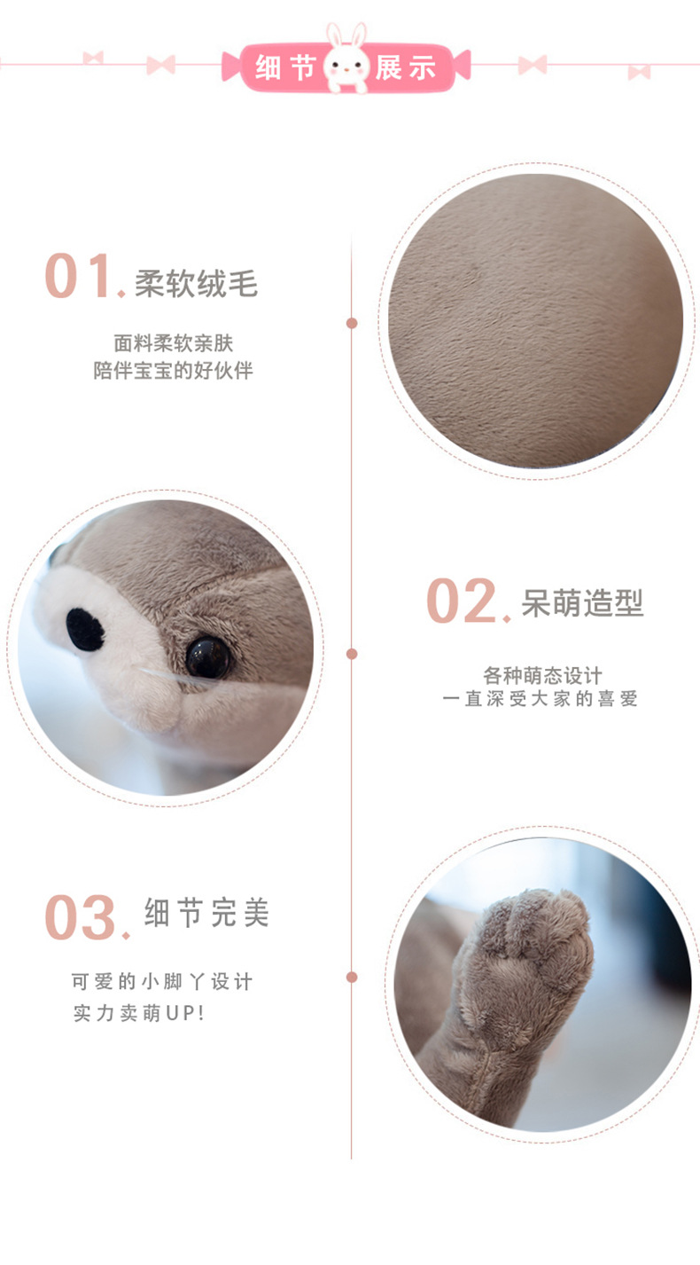 (11).jpg