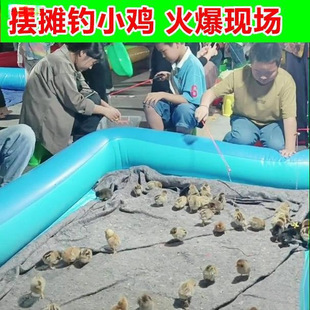 Square Toy Fishing Live Chicken Rod Tool Chicken Fishing Set Pool Stall Chick Metal Children's Internet Celebrity Night Market Magnetic