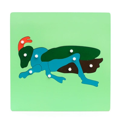 Brainteaser Montessori, teaching aids, professional smart toy