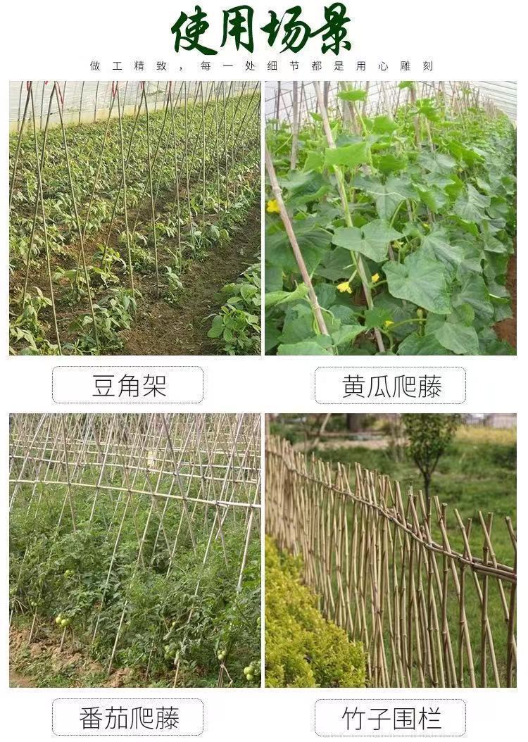 竹竿菜园搭架蔬菜黄瓜番茄豆角架杆竹篱笆栅栏小竹子细竹竿爬藤架-阿里巴巴