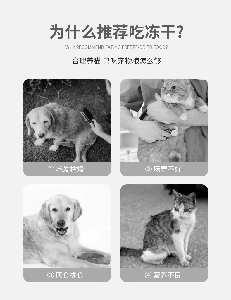 Unknown -1_04.jpg