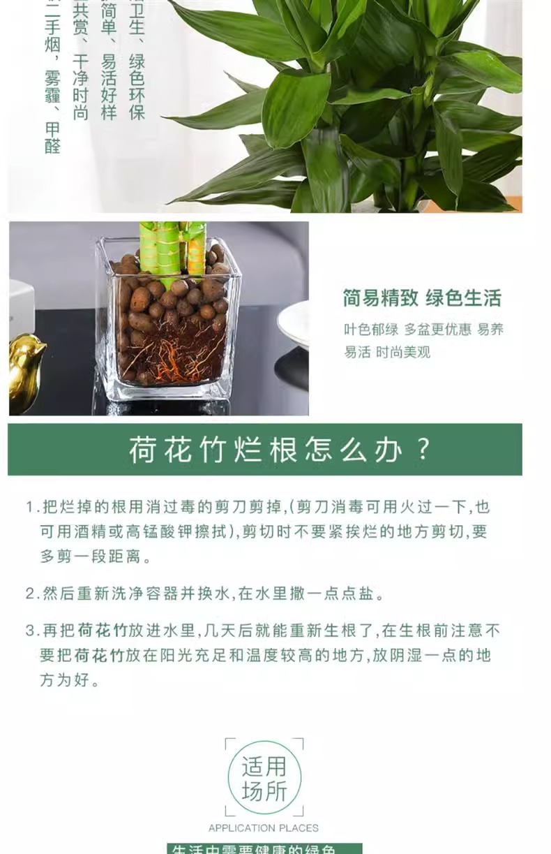 5697cab9-9542-4649-b70c-80e8465b7f20.jpe