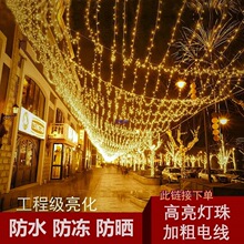 彩灯串灯满天星户外防水七彩变色灯带树灯景观氛围灯装饰灯串