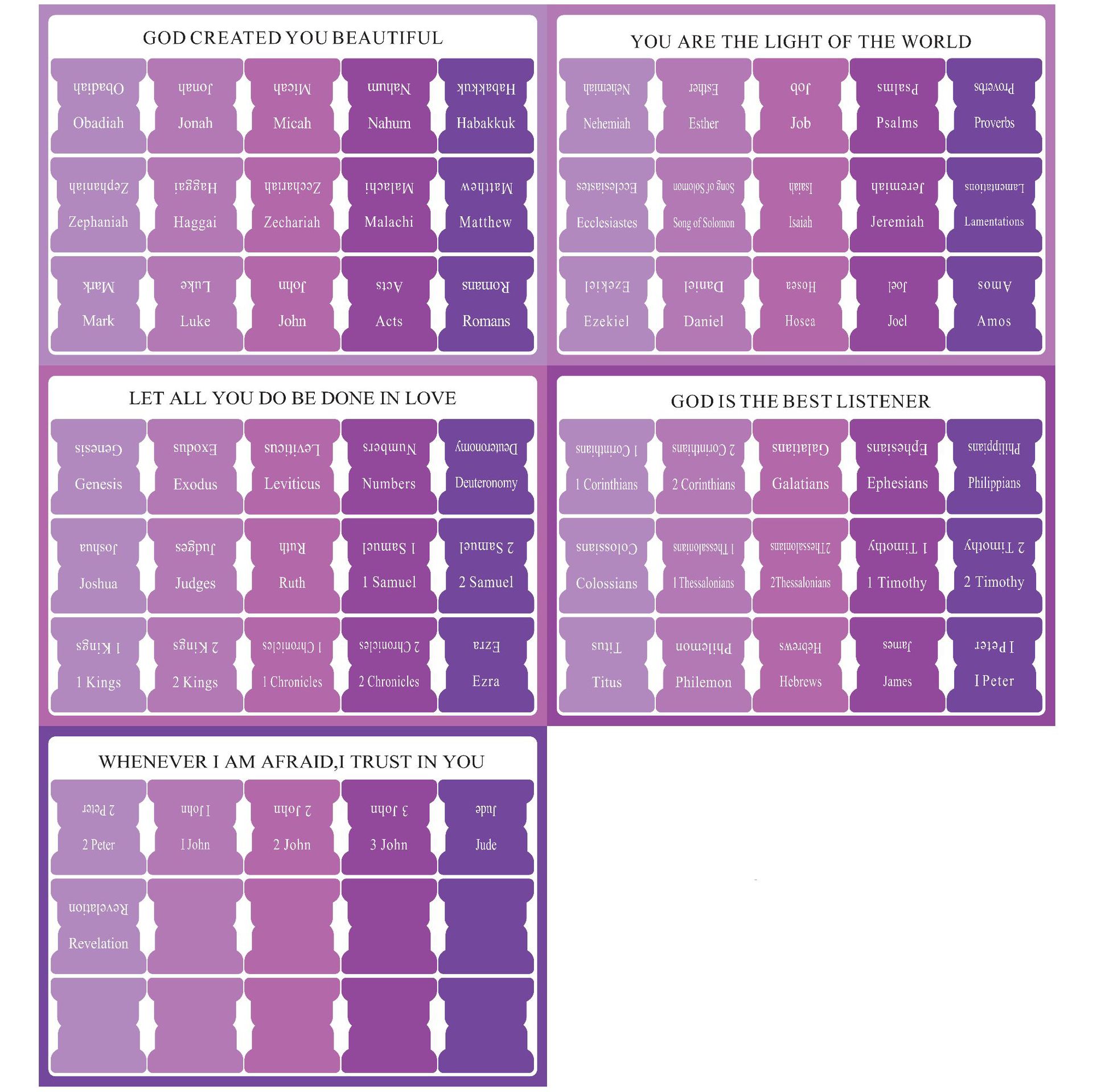 보라색 스타일-5 사진