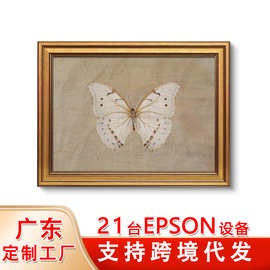 欧式复古框蝴蝶装饰画 美式乡村昆虫客厅卧室墙面挂画亚马逊代发