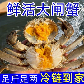 大闸蟹;熟食/即食菜;豆腐干