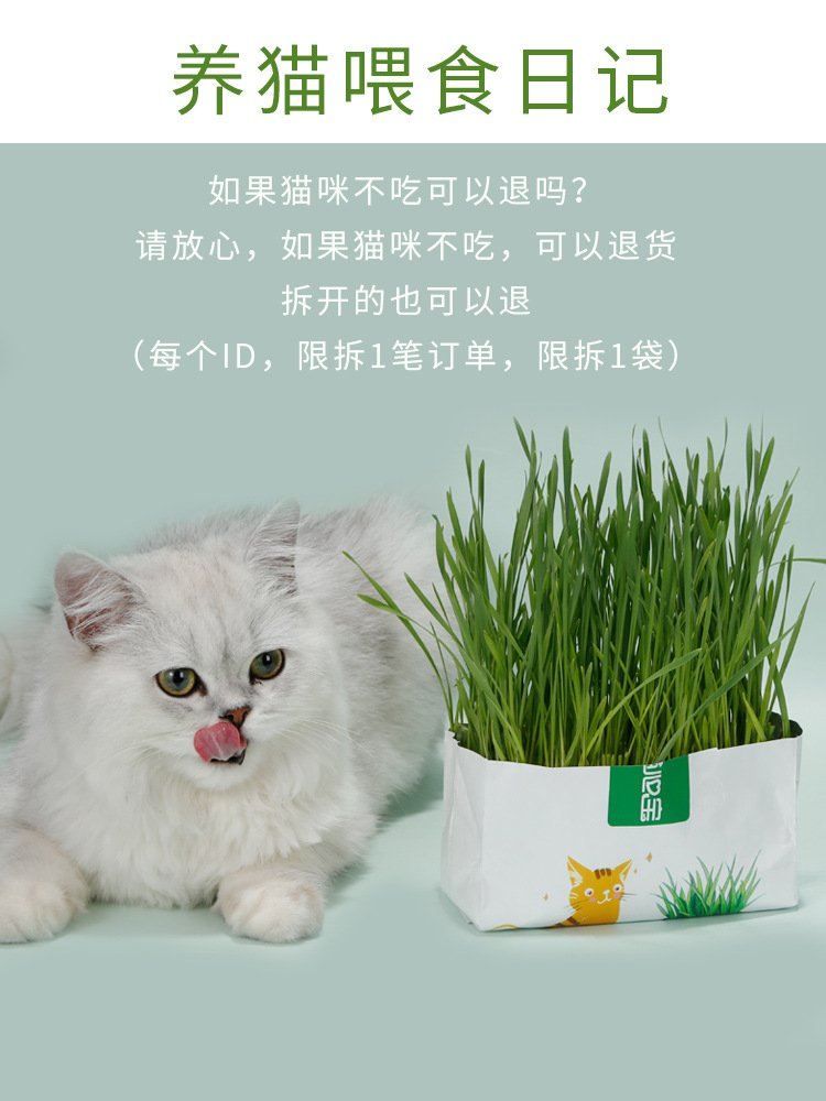 Cat grass nuevo bolsillo cebada en maceta perezosa hidroponía sin suelo gatos herbaceous bulb cat snack