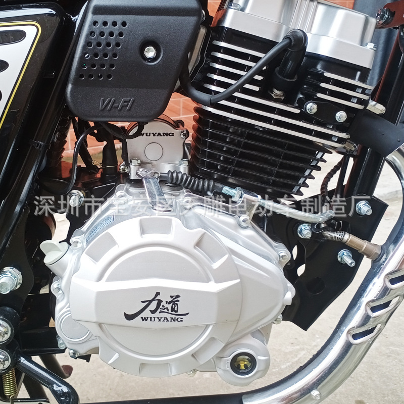 Wuyang marca GuoSi electricidad spray prince 125c150 motocicleta ropa de hombre adecuada para la carga agrícola super ahorro de combustible puede ser la marca