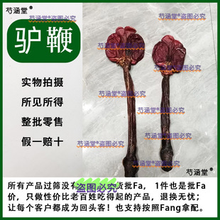 驴鞭全套整根驴鞭干男性滋补泡酒料散装驴肾煲汤售狗鞭牛鞭可打粉-阿里巴巴