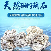 天然珊瑚石死石活石造景海水鱼缸三湖慈鲷造景材料免爆藻快速开缸