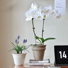 ��Ͳ�L�����մɻ����m���Gֲ�����m�������������ɫ����ߙn�OӋ