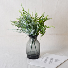 ֱ�N 5�^�PѾާ�~����ֲ��ֲ��䠝�_�I������ľGֲ�辰�廨