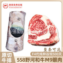 ����Ұ��M8-9+��ţ����ԭ��ţ��558�S���۸߶�ѩ��ţ���M������