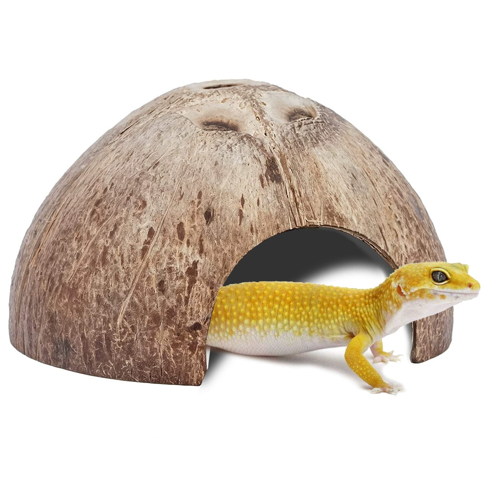 Маленькое домашнее животное черепаха паук скорпион ящерица рогатая лягушка рептилия маленькое домашнее животное Кокосовая Скорлупа убежище пещерное гнездо