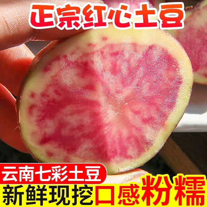 Юньнань дали красочный картофельный цветок Сердце картофель цветок сердце красочный картофель оптом поколение волос