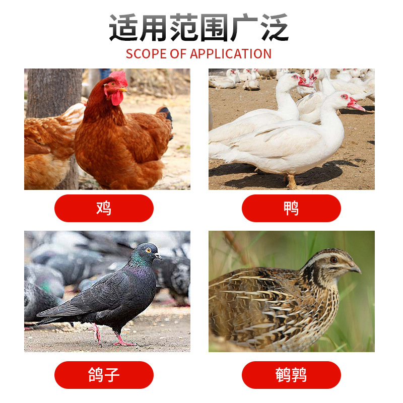 Tazón de agua de pollo transfronterizo Tazón de agua para beber automático de aves de corral Dispensador de agua de pollo automático Taza de agua de pollo, pato y ganso Cría de artefactos de alimentación de agua