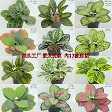 9�^�����Gֲ�Pβ�~��Y�ҾӾƵ��b��þG�~�ٻ��[�����߿羳