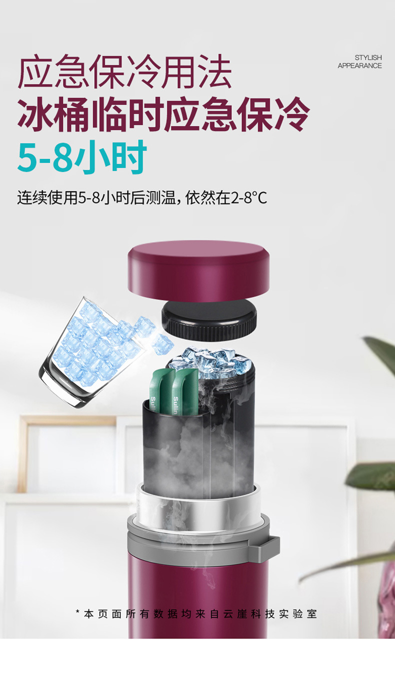 Portable Rechargeable Car-Mounted Small Refrigerator with Insulin Freezer