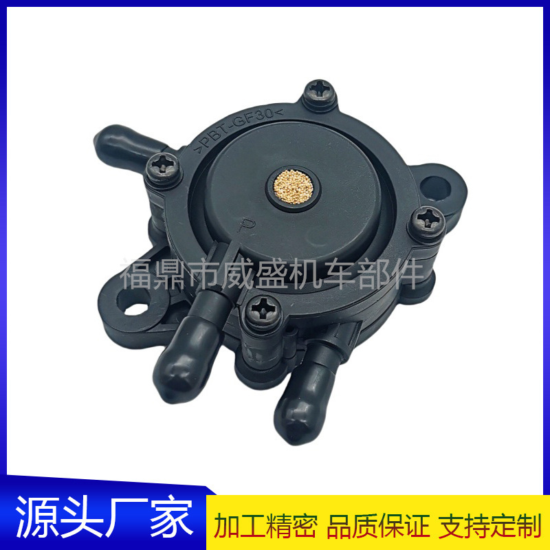 Bailitong Fuel Pump 491922 691034 692313 808492 808656 Motorcycle Accessories Bailitong Fuel Pump 491922 691034 692313 808492 808656 Motorcycle Accessories