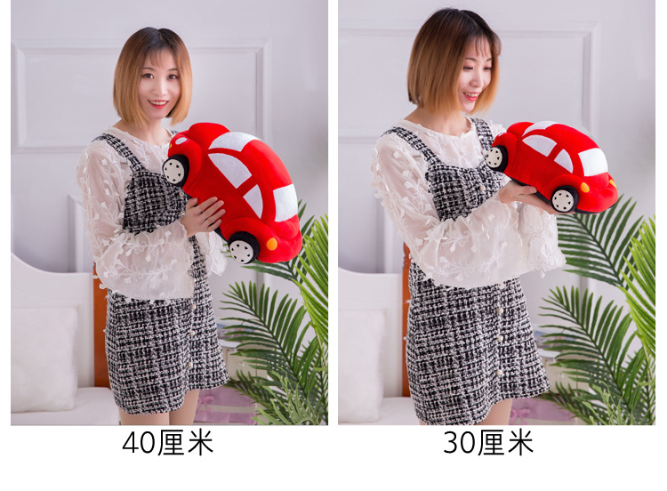 汽车抱枕 (15).jpg