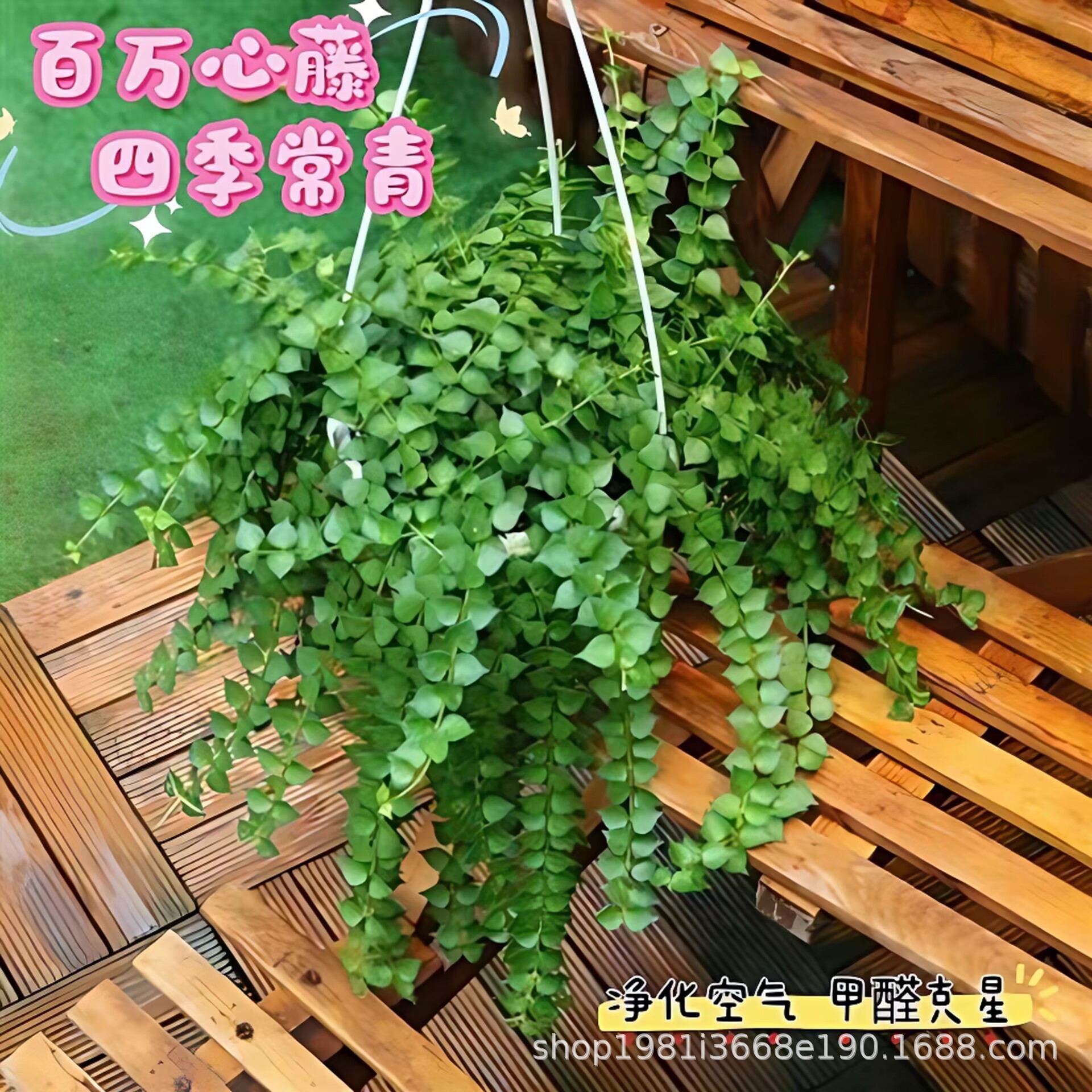 B9C2C8CEA17A1A86E305BB3A44B42E