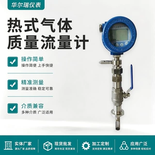DN125热式气体质量流量计 环保管道氮气沼气工业气体流量传感器