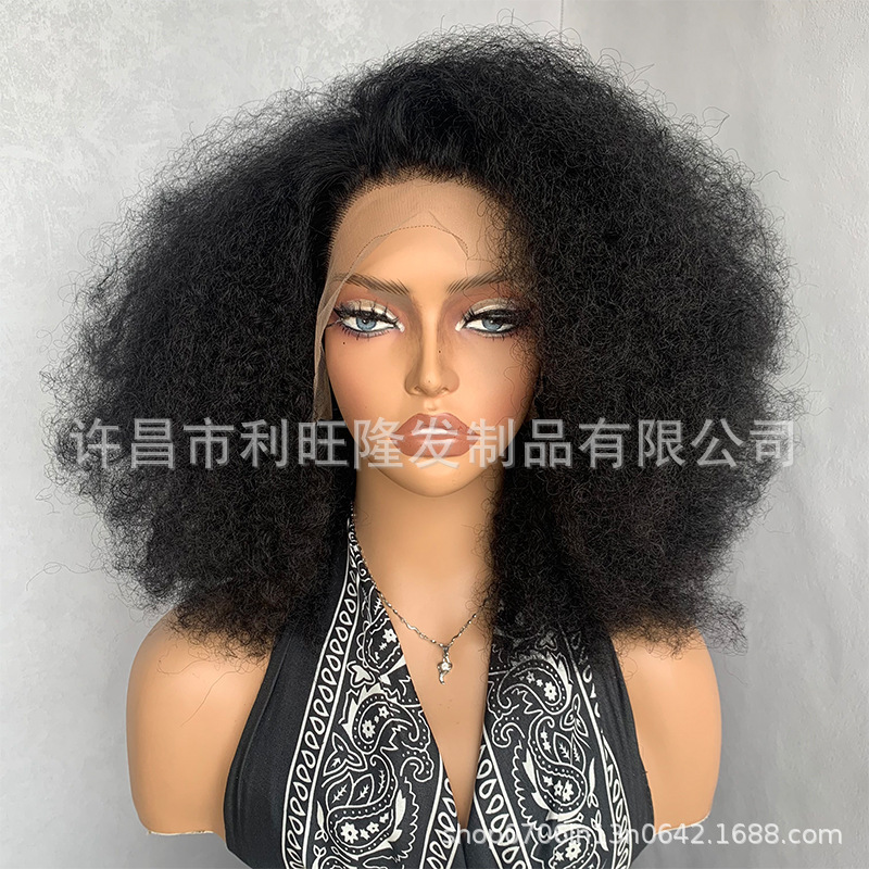 African Hot-Selling 13*4 Afro Curl Blend Wig Mixed Hair Front Lace Wig Cross-Border Foreign Trade Wig