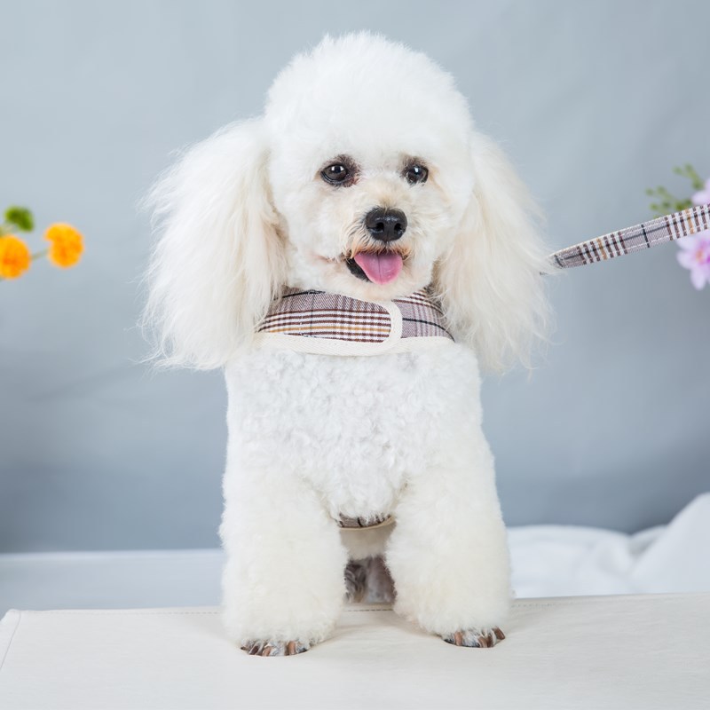 Neu Pet Harness Atmungsaktive Plaid Kleine Weste Set Teddy Hund_voghion.com
