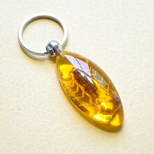 昆虫标本人工琥珀汽车钥匙扣钥匙挂件个性挂饰不锈钢男女腰挂