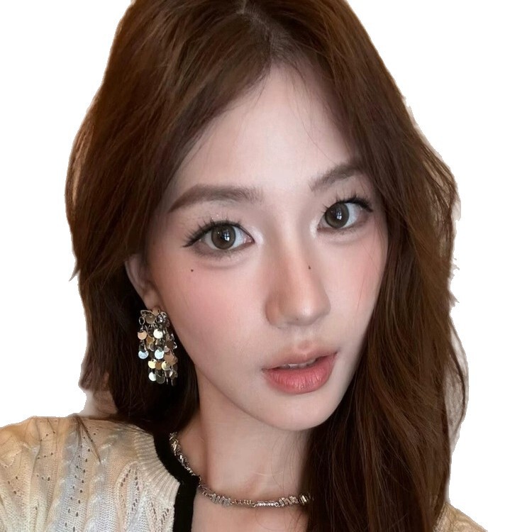 韩系简约银色亮片流苏耳环女款轻奢高级感气质耳钉小众设计感耳饰|undefined