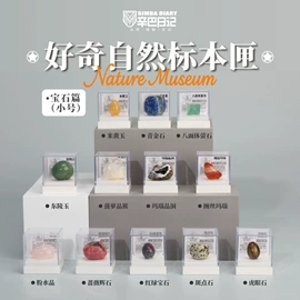 冰箱贴;现代装饰画;标本