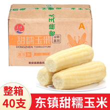 �|���Ŵ����40֧���� �|���ك�ճŴ�SŴ���װ� ���rA���������