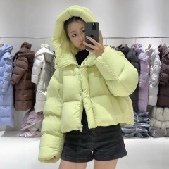 2025冬新款雾感泡芙短款连帽羽绒服女宽松加厚面包服小个子外套潮