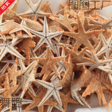 ���l��ˇƷ�ЌW�����b���DIY���Ǻ���ؐ��ؐ����Ȼ