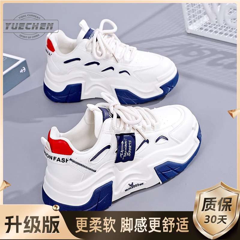 밀라노【업그레이드 버전】