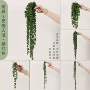 多肉仿真吊兰佛珠壁挂