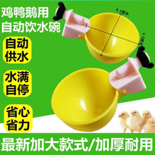 方管雞用自動飲水器 水線乳頭飲水器乳頭 雞用球閥飲水嘴方管吊杯