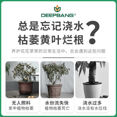 2022 New Model Hanging Basket Automatic Watering Lazy Person Pothos Hanging Basket Tall and Deep Plastic Pothos Pot Large Size