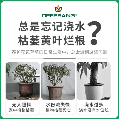  New Model Hanging Basket Automatic Watering Lazy Person Pothos Hanging Basket Tall and Deep Plastic Pothos Pot Large Size