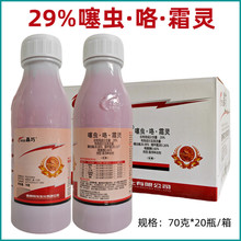 晶巧29%噻虫咯霜灵悬浮种衣剂大豆根腐病蚜虫玉米茎基腐病根腐病