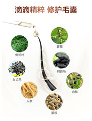 Zhenshi 500mL Ginger Shampoo, Hair Ginger King Polygonum multiflorum Shampoo, Ginger juice hair care essential oil