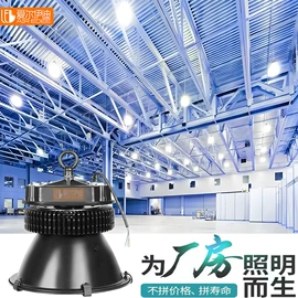 工矿灯;投光灯;庭院灯